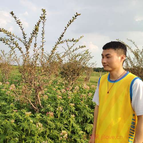 37岁岁广东单身帅哥 - 兰州吉缘网